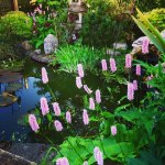 14333216_334732020193927_8163711429144091636_n-2