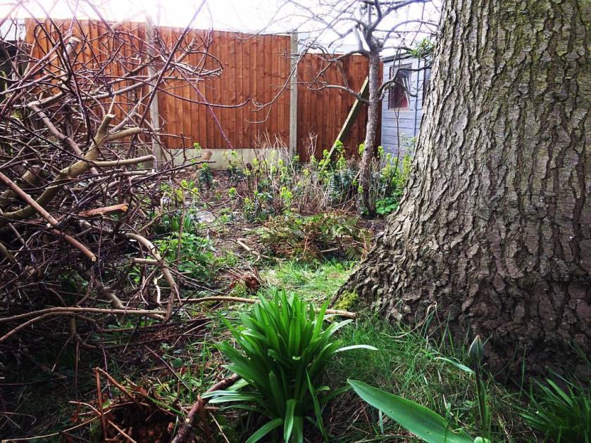 17545587_824498301038228_1473892180779497830_o