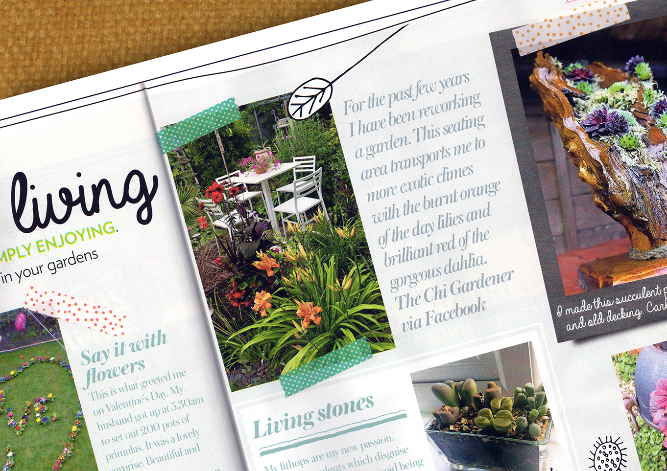 Modern Gardens_EXT Close Up